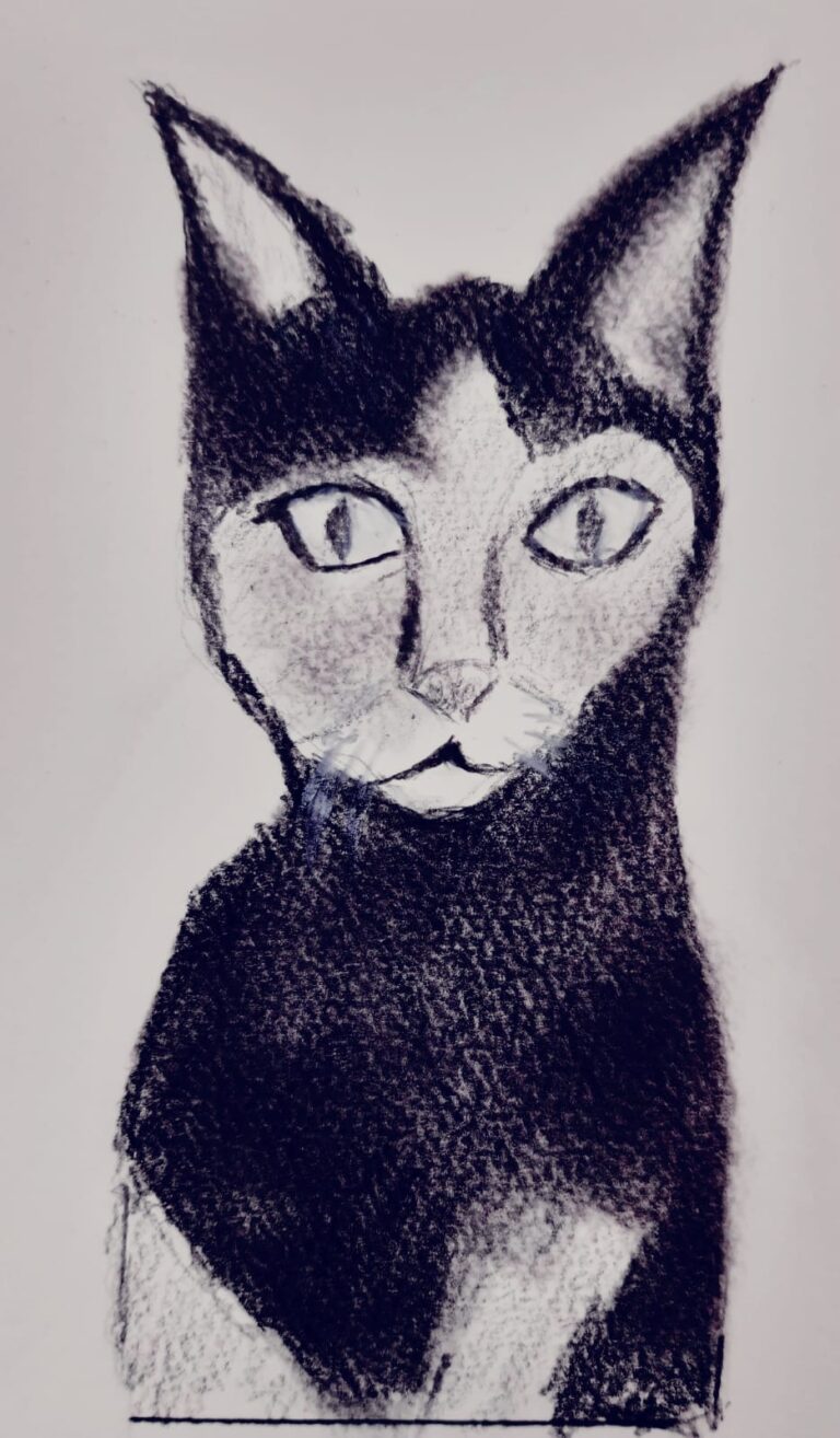 PHOTO-2026-02-26-17-27-58 (4)